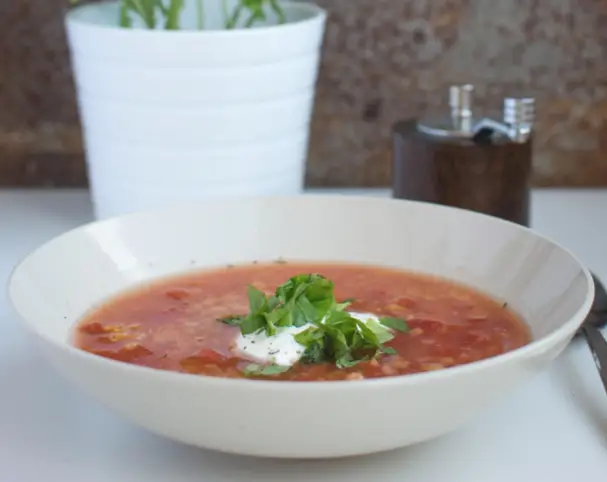 Vegan Quinoa Lentil and Kale Stew - 