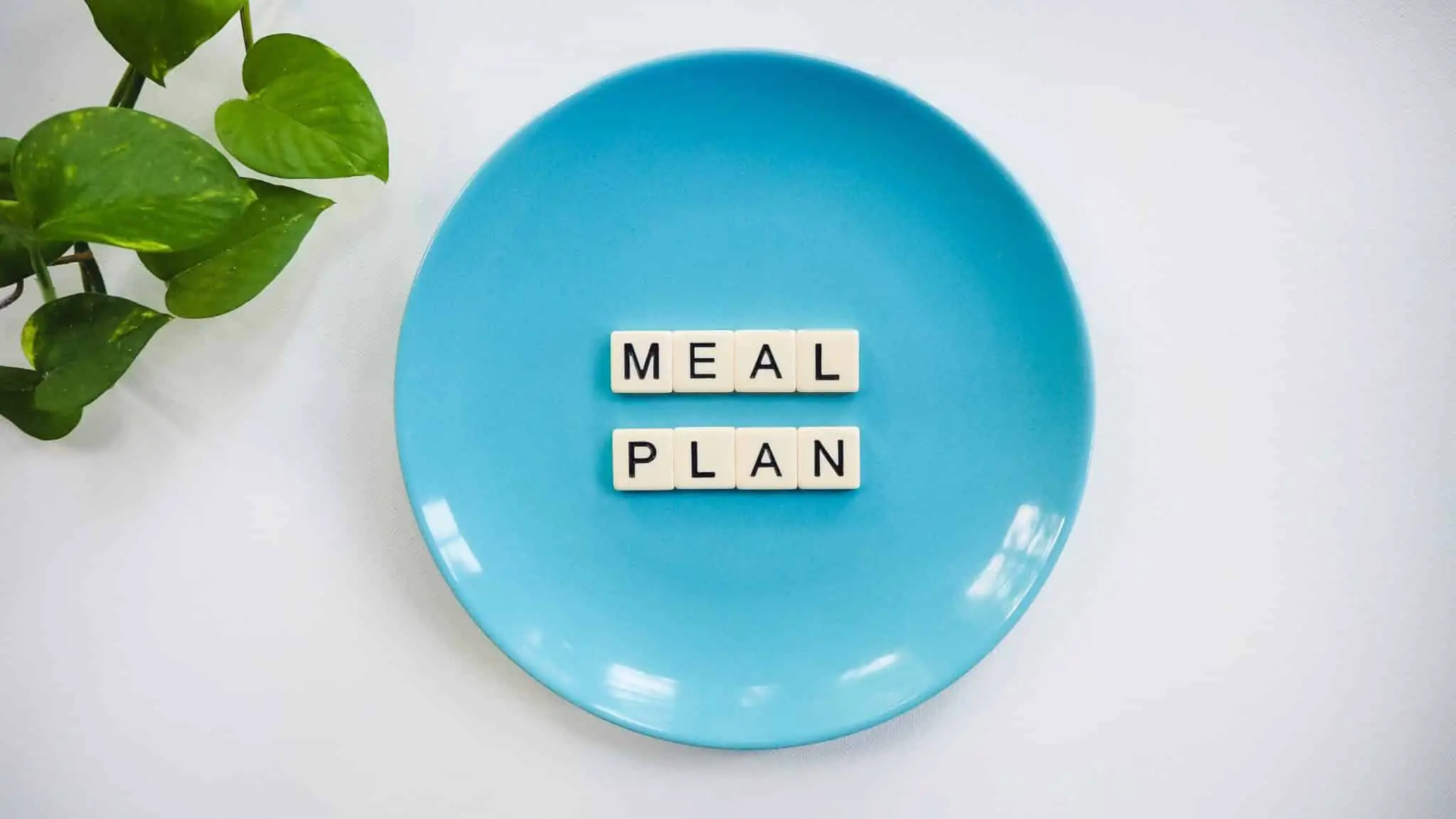Meal Plan Blue Plate